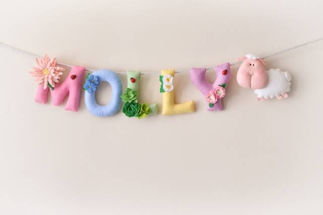 Baby Wall Art, Floral Sheep Baby Decor, Felt Name Banner, Nursery Shower, Gift, Kids Room Personalized Gift - image 1