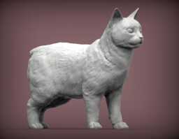 Manx Cat Standing -3D Printed - For Cat Lovers, Ornament, Memorial, Gift - thumbnail 1