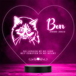 Cat Pet Loss Memorial Forever in My 7 Personalised Gift Colour Night Light - thumbnail 1