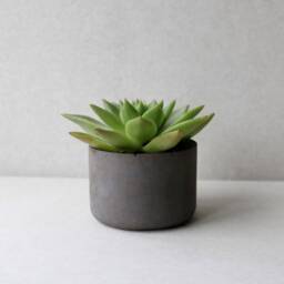 Handmade Dark Concrete Planter - Minimalist Succulent Pot, 3 Inch - thumbnail 2
