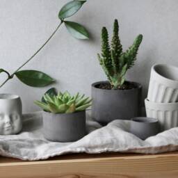 Handmade Dark Concrete Planter - Minimalist Succulent Pot, 3 Inch - thumbnail 4