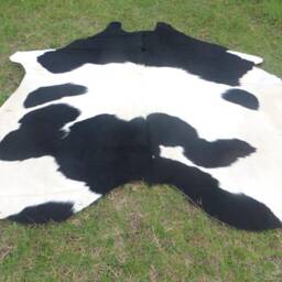 Black & White Large New Cowhide Rug Natural Hair On - 6x6 Ft Size Approx Tri-Color Soft Carpet Cow Hide B-S - thumbnail 4