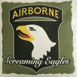 101St Airborne Division Screaming Eagles United States Army Cushion Inner Included - thumbnail 2