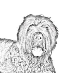 Black Russian Terrier - Wooden Stand For Candles/Pens With The Image Of A Dog New Collection - thumbnail 2