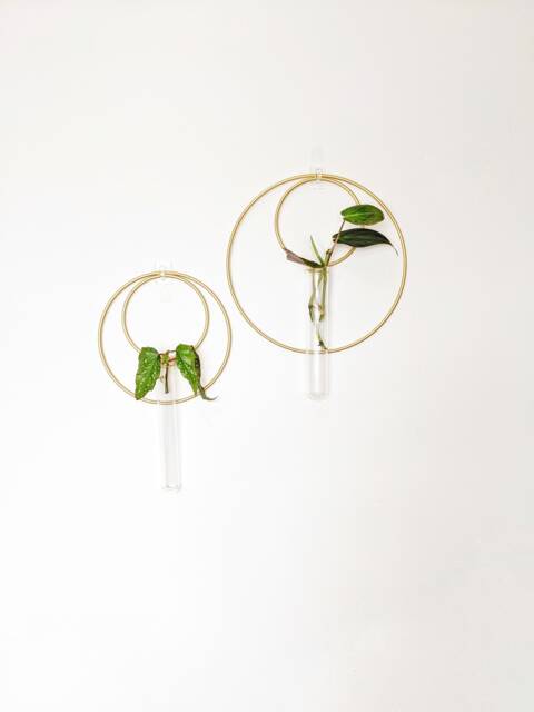 Hanging Hydroponic Vase/Propagation Station With Double Metal Hoops - image 1