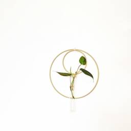 Hanging Hydroponic Vase/Propagation Station With Double Metal Hoops - thumbnail 2