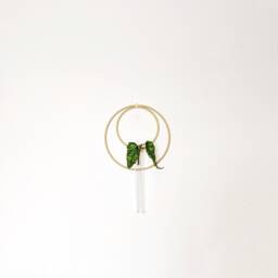 Hanging Hydroponic Vase/Propagation Station With Double Metal Hoops - thumbnail 3