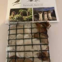 Alpaca & Sheep Bird Nesting Gift Sets - thumbnail 3