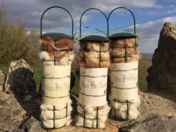 Alpaca & Sheep Bird Nesting Gift Sets - thumbnail 1