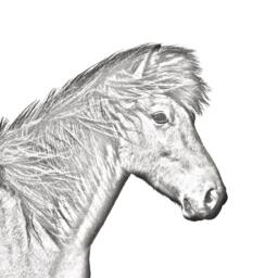 Icelandic Horse - Wooden Stand For Candles/Pens With The Image Of A Horse New Collection - thumbnail 2