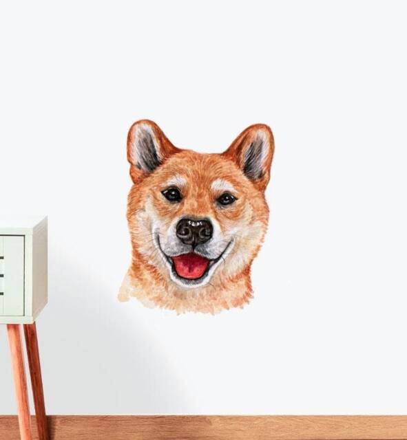 Shiba Inu Dog Brown Wall Sticker Decal - Dogs & Pets Stickers, Art, Decals, Kids Animals Decals