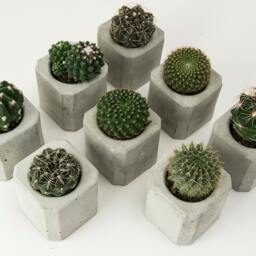 Set Of 3 Concrete Vases - thumbnail 3