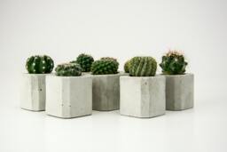 Set Of 3 Concrete Vases