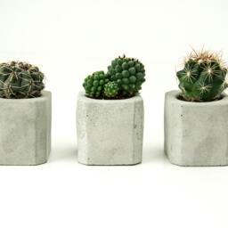 Set Of 3 Concrete Vases - thumbnail 2