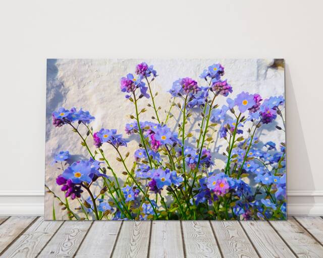 Vibrant Forget Me Not Wildflower Canvas Print Nature-Inspired Blue Floral Wall Art For Home Decor - image 1
