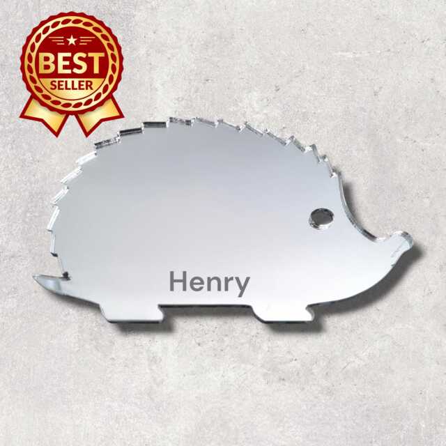 Hedgehog Acrylic Mirror Wall Art Personalized Engraved Decor - image 1