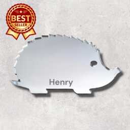 Hedgehog Acrylic Mirror Wall Art Personalized Engraved Decor
