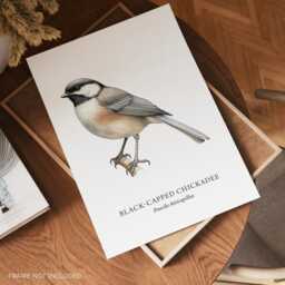 Black-Capped Chickadee Bird Art Print, Home Decor, Lover Gifts - thumbnail 2