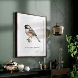 Black-Capped Chickadee Bird Art Print, Home Decor, Lover Gifts - thumbnail 3