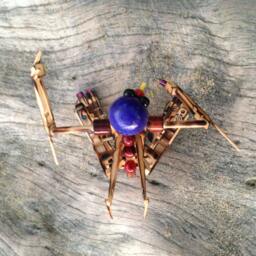 Birdbot - thumbnail 2