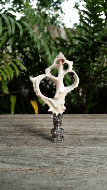 Sea Shell Lamp Finial, Off White - image 1