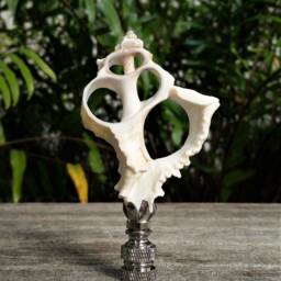 Sea Shell Lamp Finial, Off White - thumbnail 2