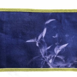 Cyanotype Pillow - thumbnail 2