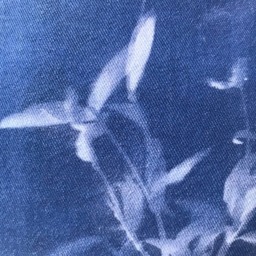 Cyanotype Pillow - thumbnail 3