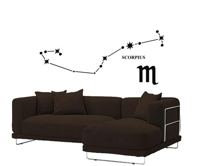Zodiac Signs Constellations Wall Decal Symbol Astrology Night Sky Interior Decor - image 1
