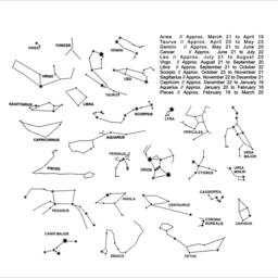 Zodiac Signs Constellations Wall Decal Symbol Astrology Night Sky Interior Decor - thumbnail 3