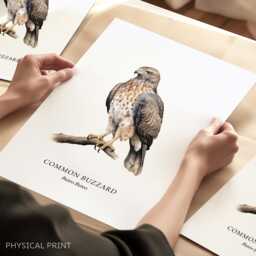 Prints With Birds, Buzzard Illustration, Bird Of Prey, Lover Gift, Watching, Wall Decor - thumbnail 1