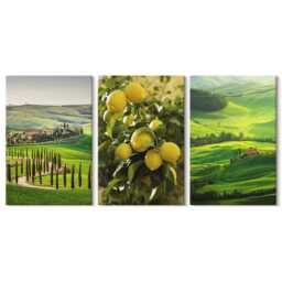 Canvas Art Set Of 3 - Italian Landscapes With Citrus Trees & Green Hills, Wall Canvas, Decor - thumbnail 3