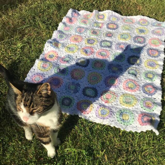 Unicorn Dreams Baby Blanket - image 1