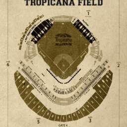 Tampa Bay Rays Tropicana Field Blueprint Baseball Stadium Art Print - thumbnail 2