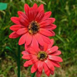 Pink Flower Decorative Floral Metal Garden Decor Stake Sculpture Giftware Gift - thumbnail 3
