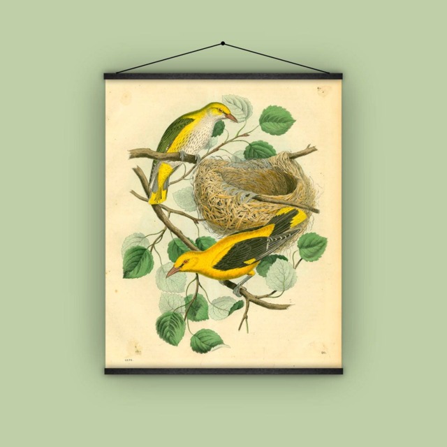 Birds, Nest, Tree Branch, Gift For Bird Lover, Wall Hanging, 1850S, Vintage, Antique Art, Natural History, Garden Her - image 1