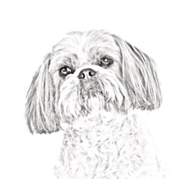 Shih Tzu - Wooden Stand For Candles/Pens With The Image Of A Dog New Collection - thumbnail 2