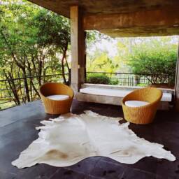 Golden Large Cowhide Rug Amazing Peau De Vache. Cow Skin - thumbnail 4