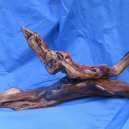 The Odd Skink - thumbnail 3