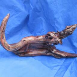The Odd Skink - thumbnail 2