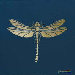 Dragonfly Stencil For Walls, Art & Furniture. St9 - thumbnail 1