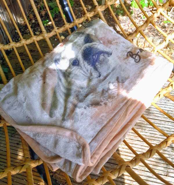 Personalised Pet Photo Design Blanket Soft Quality Comforter Dog Lovers Idea 120x150cm - image 1