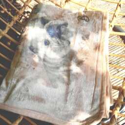 Personalised Pet Photo Design Blanket Soft Quality Comforter Dog Lovers Idea 120x150cm - thumbnail 3