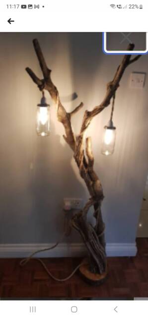 Driftwood Floor Lamp - image 1