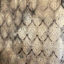 "Vintage Wavy Wall Mirror 62x82 cm - 24, 4""x32, 3" - thumbnail 4