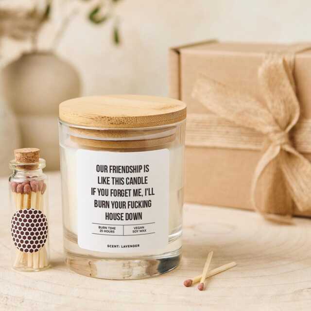 Funny Friendship Candle Gift Rude Farewell New Job Christmas Or Birthday Present For Best Friend Roommate Colleague Vegan Soy Wax - image 1