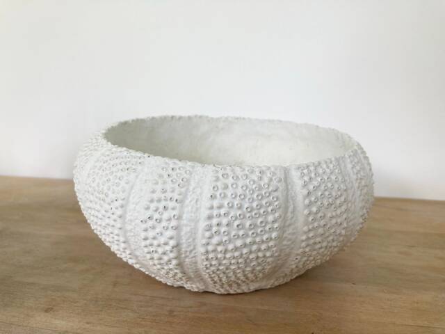 Textured Concrete Succulent Bowl Round Shell Planter - image 1