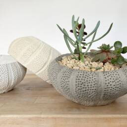 Textured Concrete Succulent Bowl Round Shell Planter - thumbnail 2