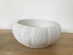 Textured Concrete Succulent Bowl Round Shell Planter
