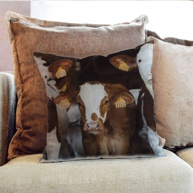 Cows Animal Photography - Decorative Pillow Throw Cushion Fabric , Case Cover Or With Filling